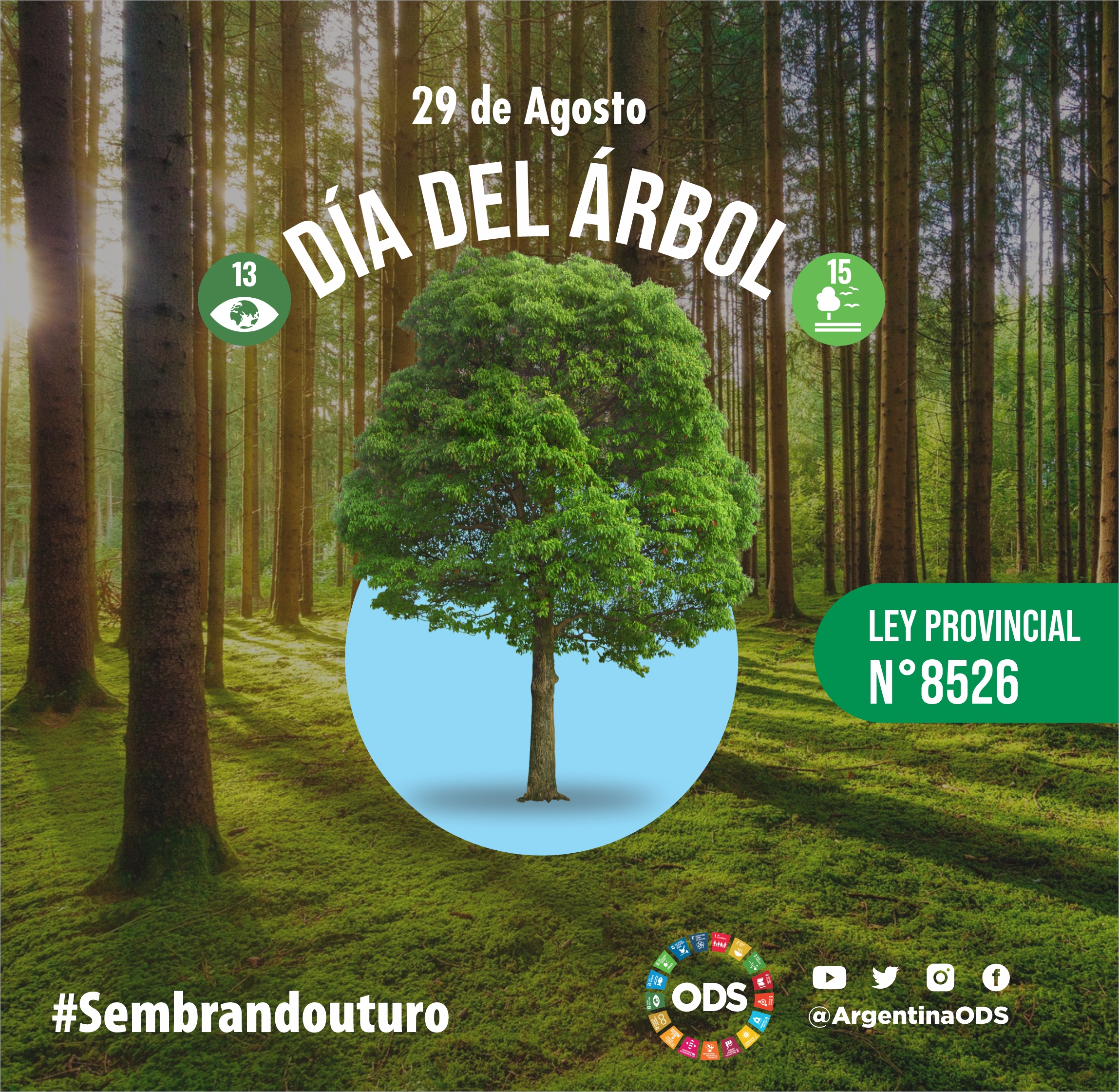 ARBOLES PARA MITIGAR EL CAMBIO CLIMATICO