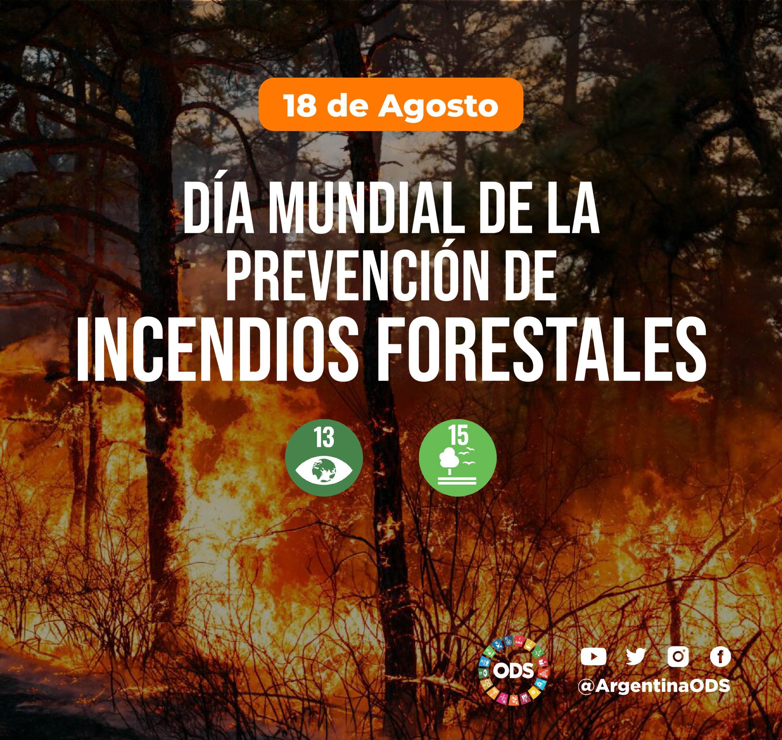 DIA MUNDIAL DE LA PREVENCIÓN DE INCENDIOS FORESTALES
