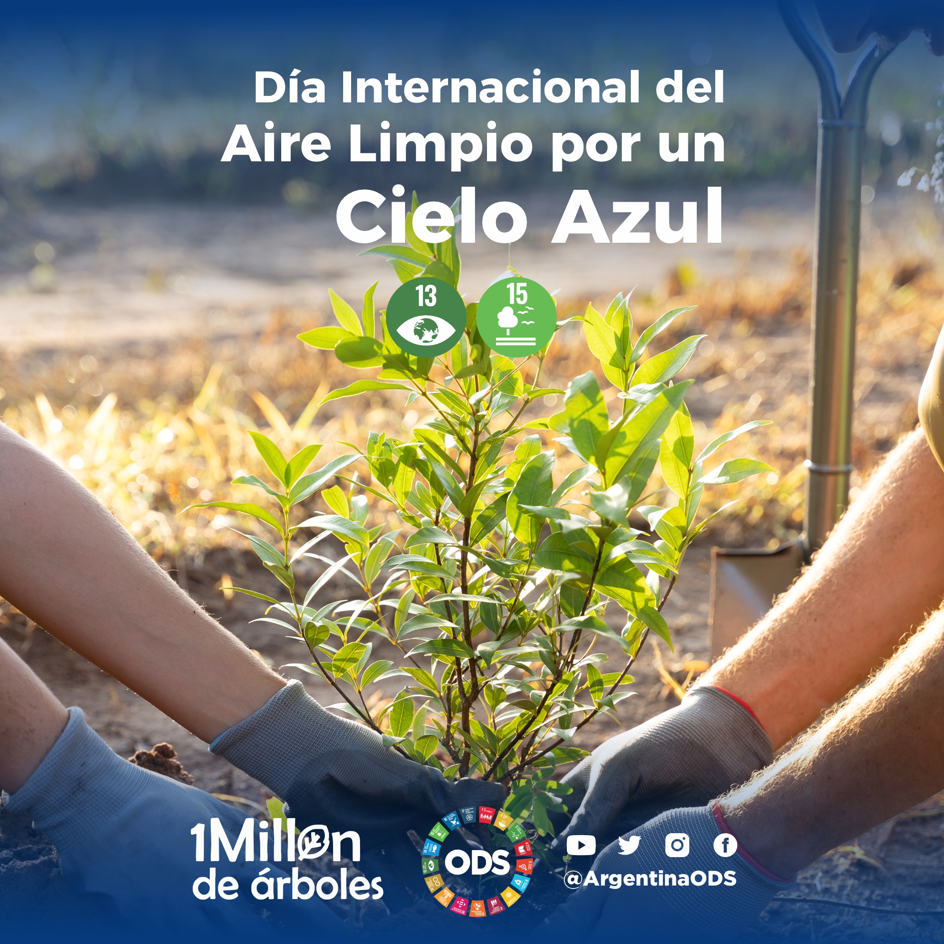 DIA DEL AIRE PURO Y EL CIELO AZUL: UN LLAMADO A RESPIRAR MEJOR