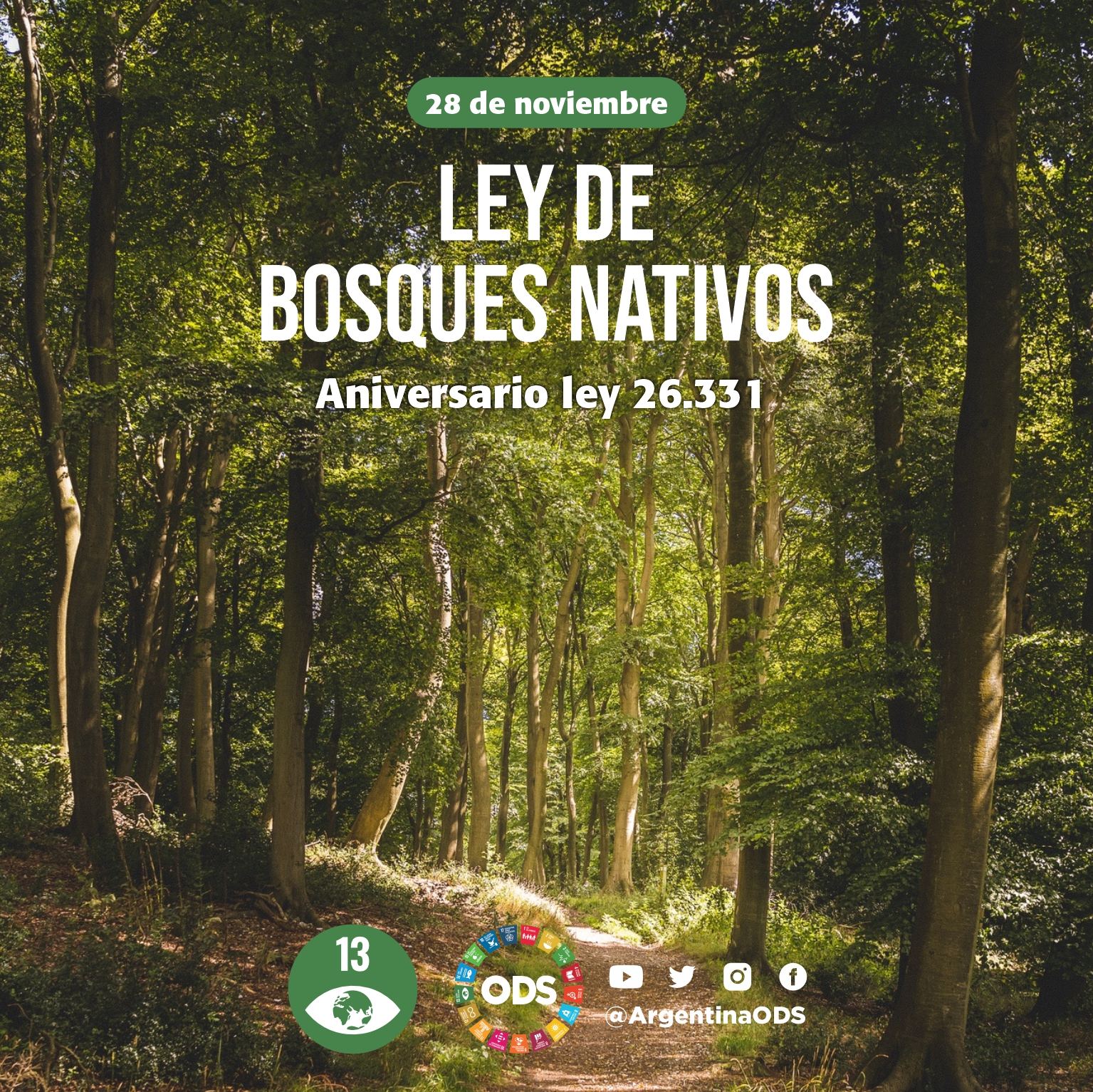 ANIVERSARIO LEY 26.331: LEY DE BOSQUES NATIVOS