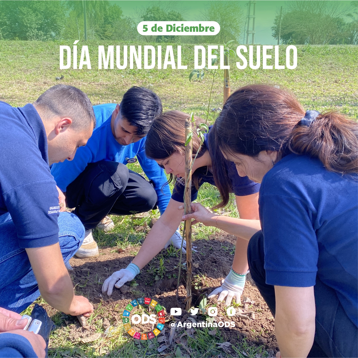 5 DE DICIEMBRE: DIA MUNDIAL DEL SUELO