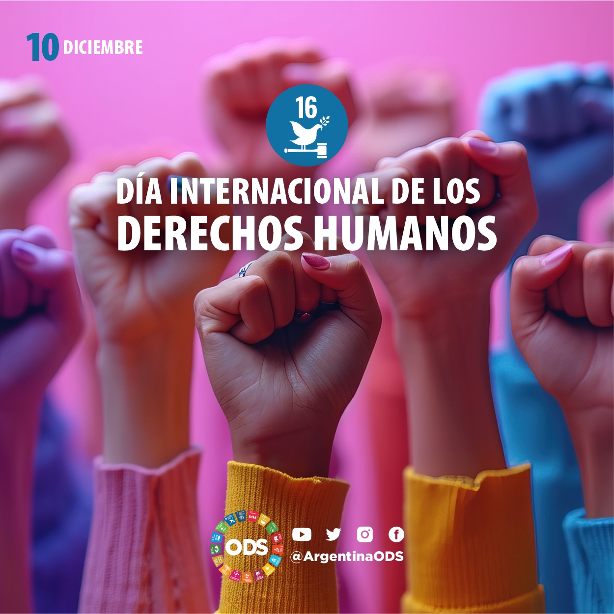 DÍA DE LOS DERECHOS HUMANOS