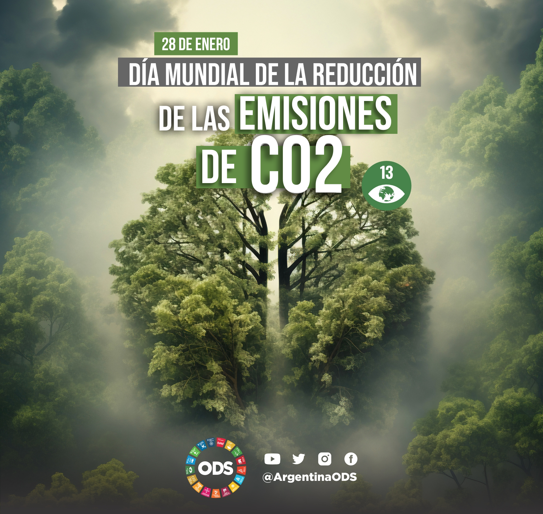 DÍA MUNDIAL DE LA REDUCCIÓN DE LAS EMISIONES DE CO2