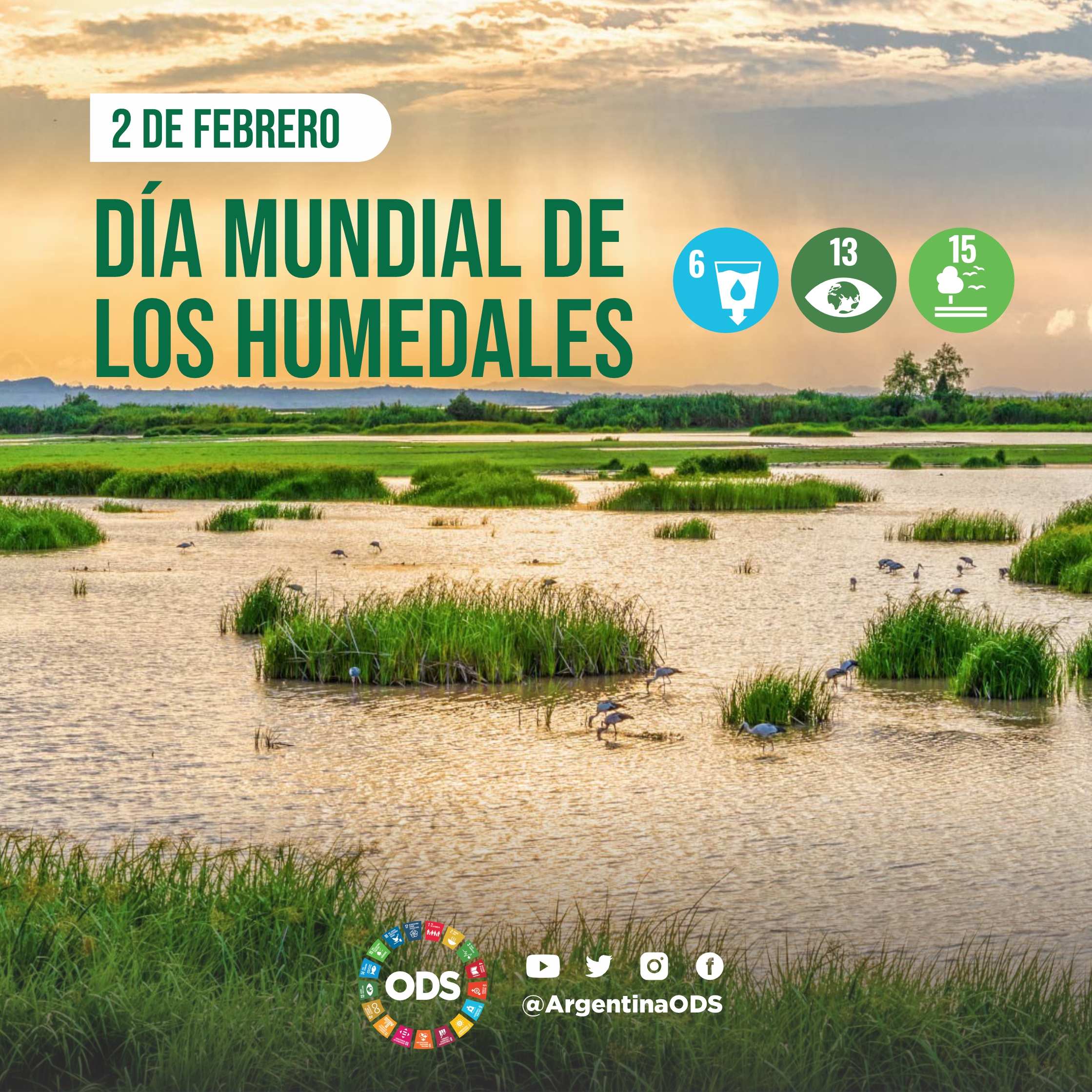 DÍA MUNDIAL DE LOS HUMEDALES